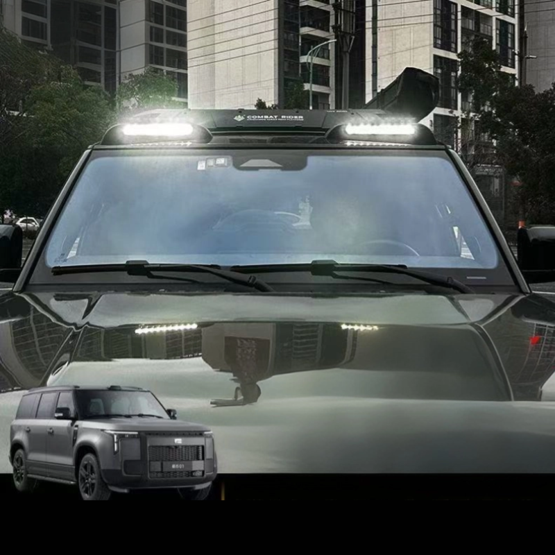 Front & Side Roof Lights for ROX 01